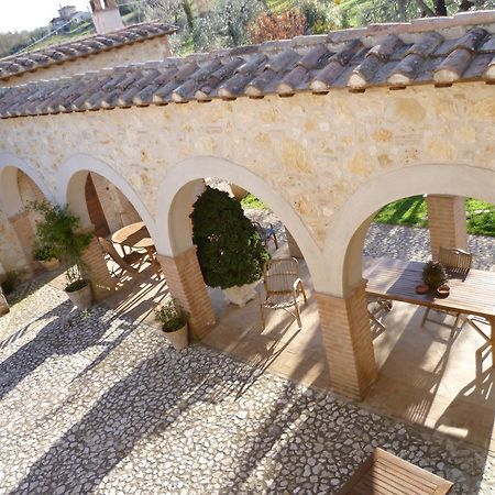 Agriturismo Poggio Della Rosa อเมเลีย ภายนอก รูปภาพ