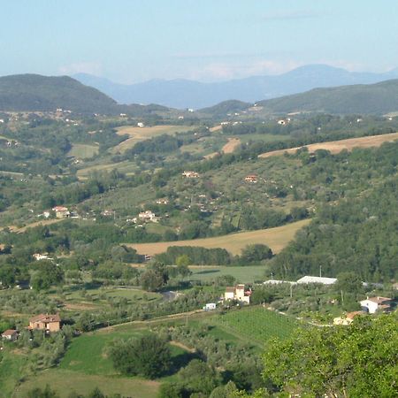 Agriturismo Poggio Della Rosa อเมเลีย ภายนอก รูปภาพ