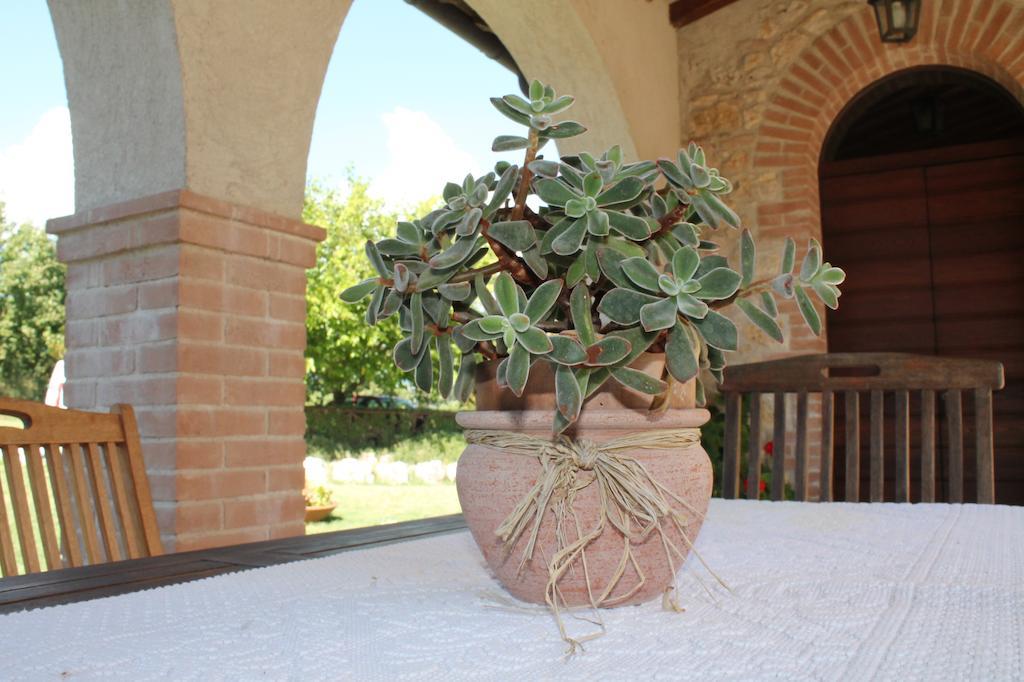Agriturismo Poggio Della Rosa อเมเลีย ภายนอก รูปภาพ
