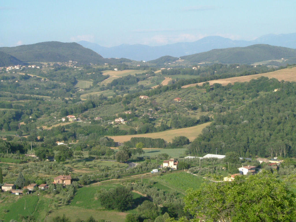 Agriturismo Poggio Della Rosa อเมเลีย ภายนอก รูปภาพ